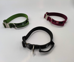 Three dog collars in green, black, and red on a white background