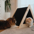 Two cats interacting with a wooden triangle-shaped pet house.