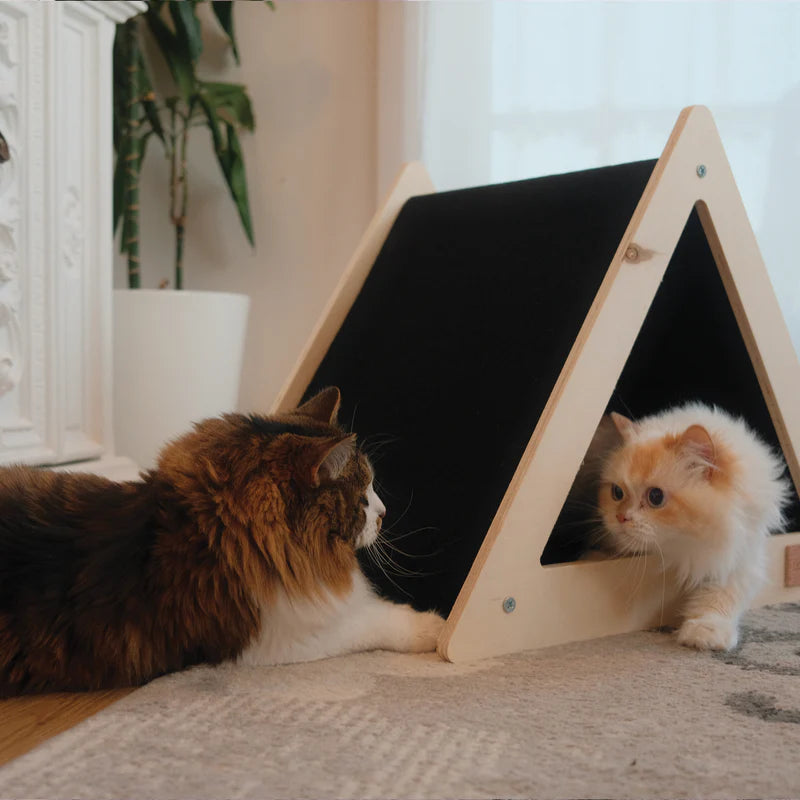 Two cats interacting with a wooden triangle-shaped pet house.