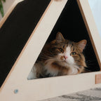 Cat peeking out from a triangular wooden pet house