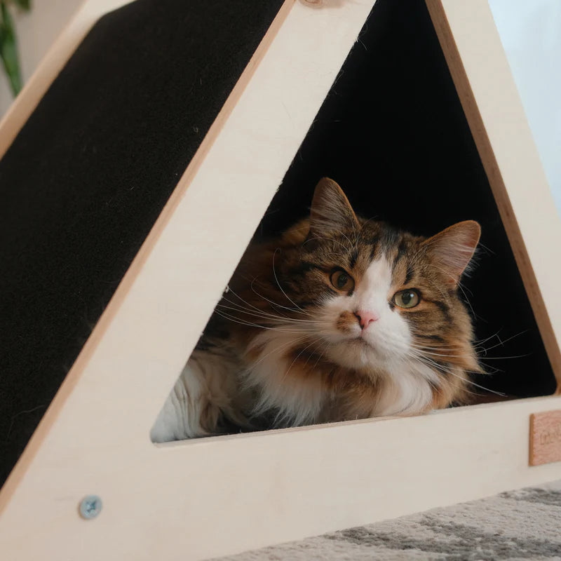 Cat peeking out from a triangular wooden pet house