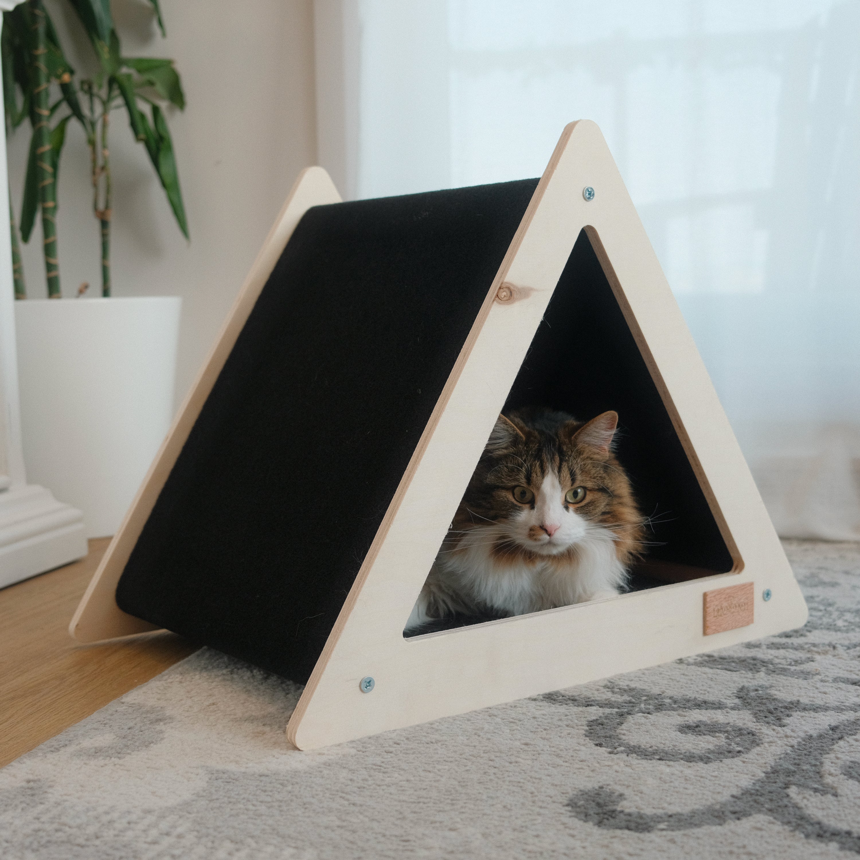 Triangular pet bed with a cat peeking out, placed on a carpeted floor.