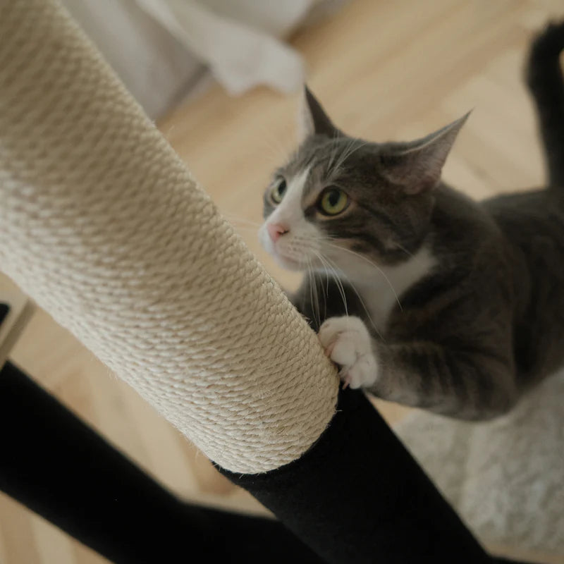 Cat climbing a cat tree on a wooden floor