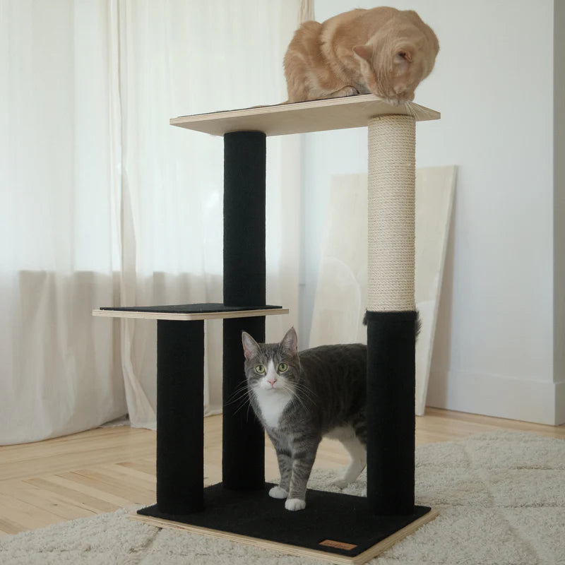 Cat tree with two cats on different levels in a room with light-colored curtains.