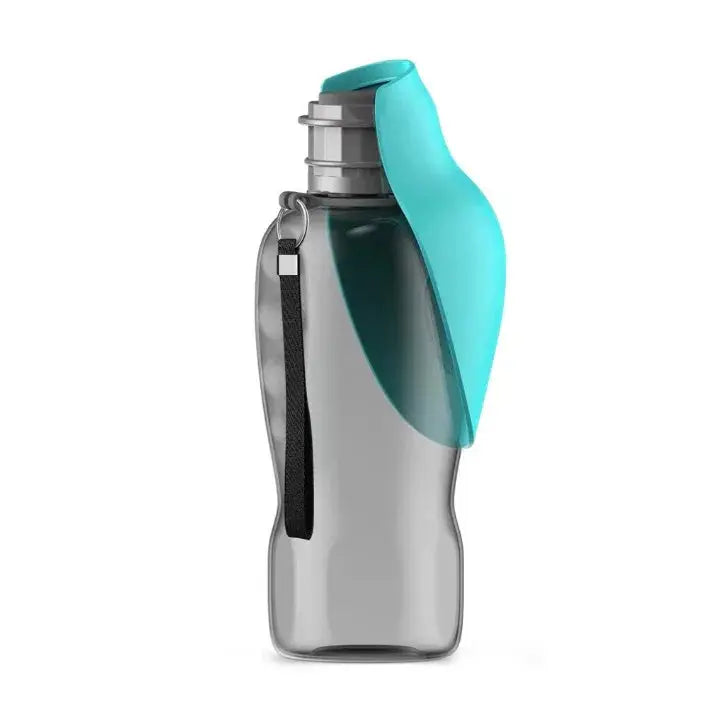 Pet water bottle with a blue cap on a white background
