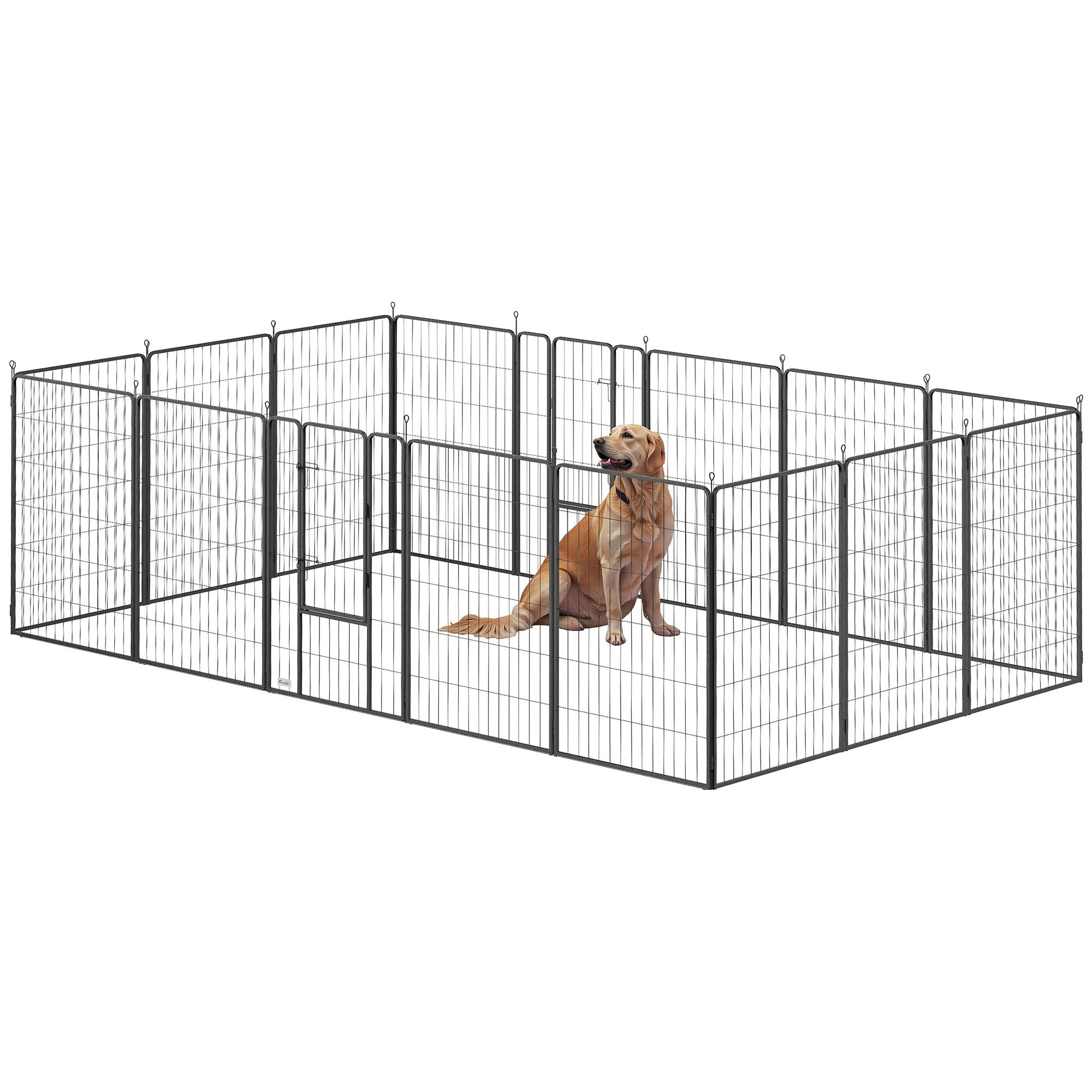Dog inside a black metal pet playpen on a white background