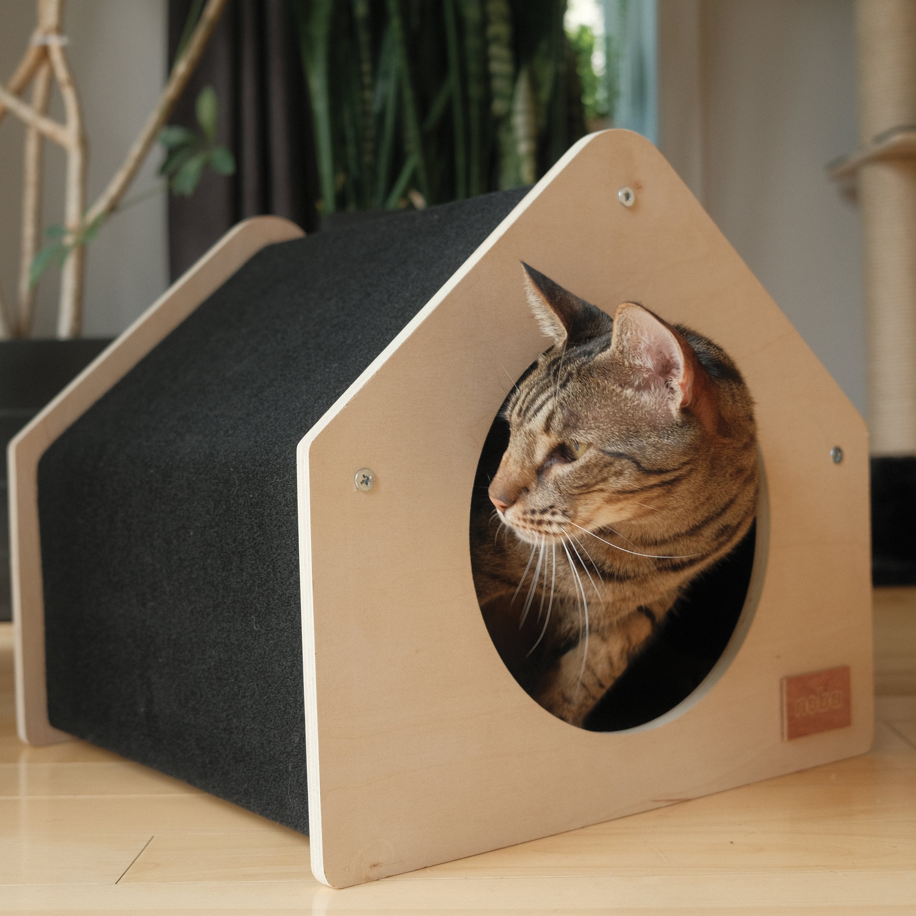 Cat peeking out from a wooden pet house with a black interior
