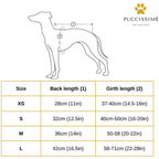 Dog measurement chart with Puccissime Pet Couture logo