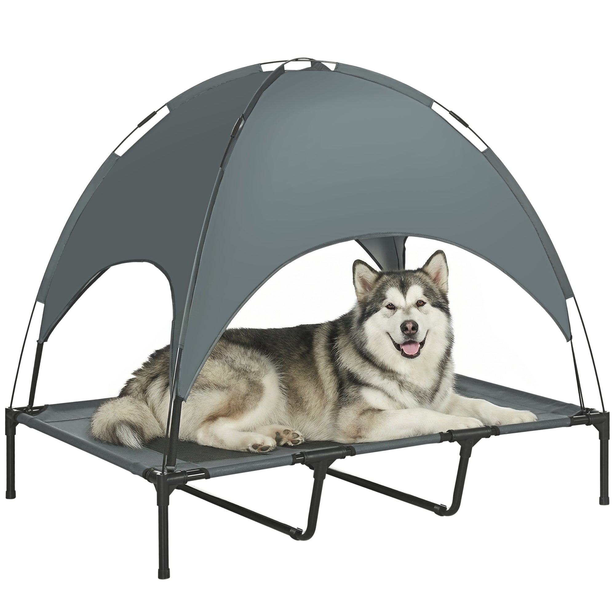 Dog lying on a gray pet canopy bed with a white background