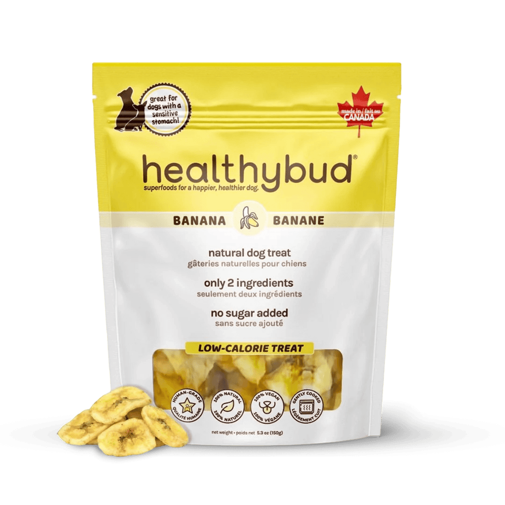 Bag of Banana Chips dog treats