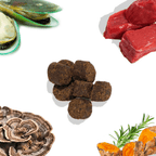 Collage of various food items including mussels, raw meat, dog treats, mushrooms, and vegetables on a white background.