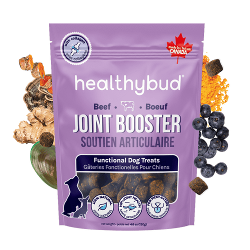 Purple package of healthybud Joint Booster dog treats with ingredients displayed around it.