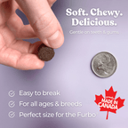 Hand holding a small brown treat next to a coin, with text about the treat's qualities and 'Made in Canada' label.
