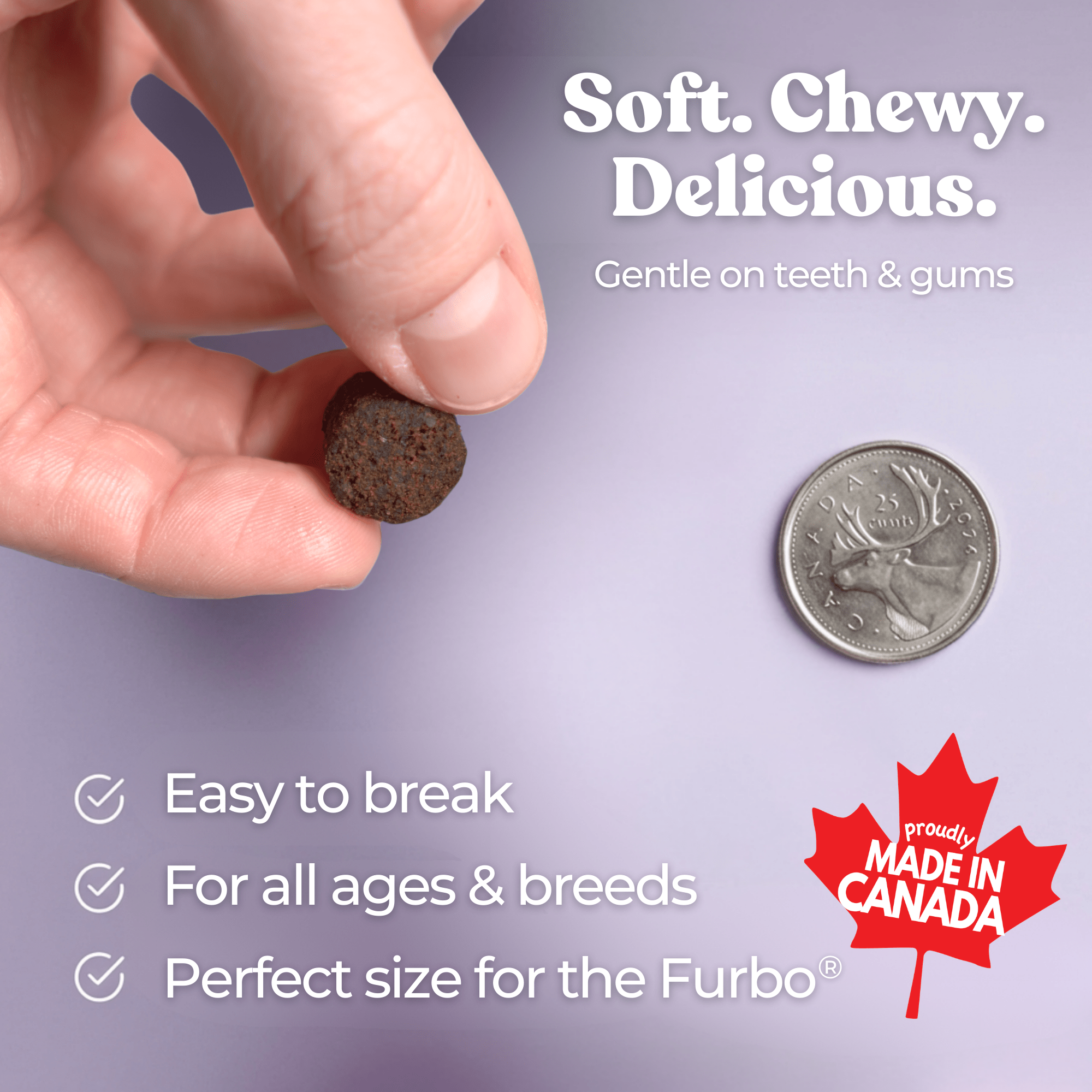 Hand holding a small brown treat next to a coin, with text about the treat's qualities and 'Made in Canada' label.