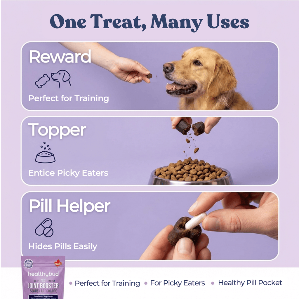 Dog treats with uses for training, enticement, and pill hiding on a purple background