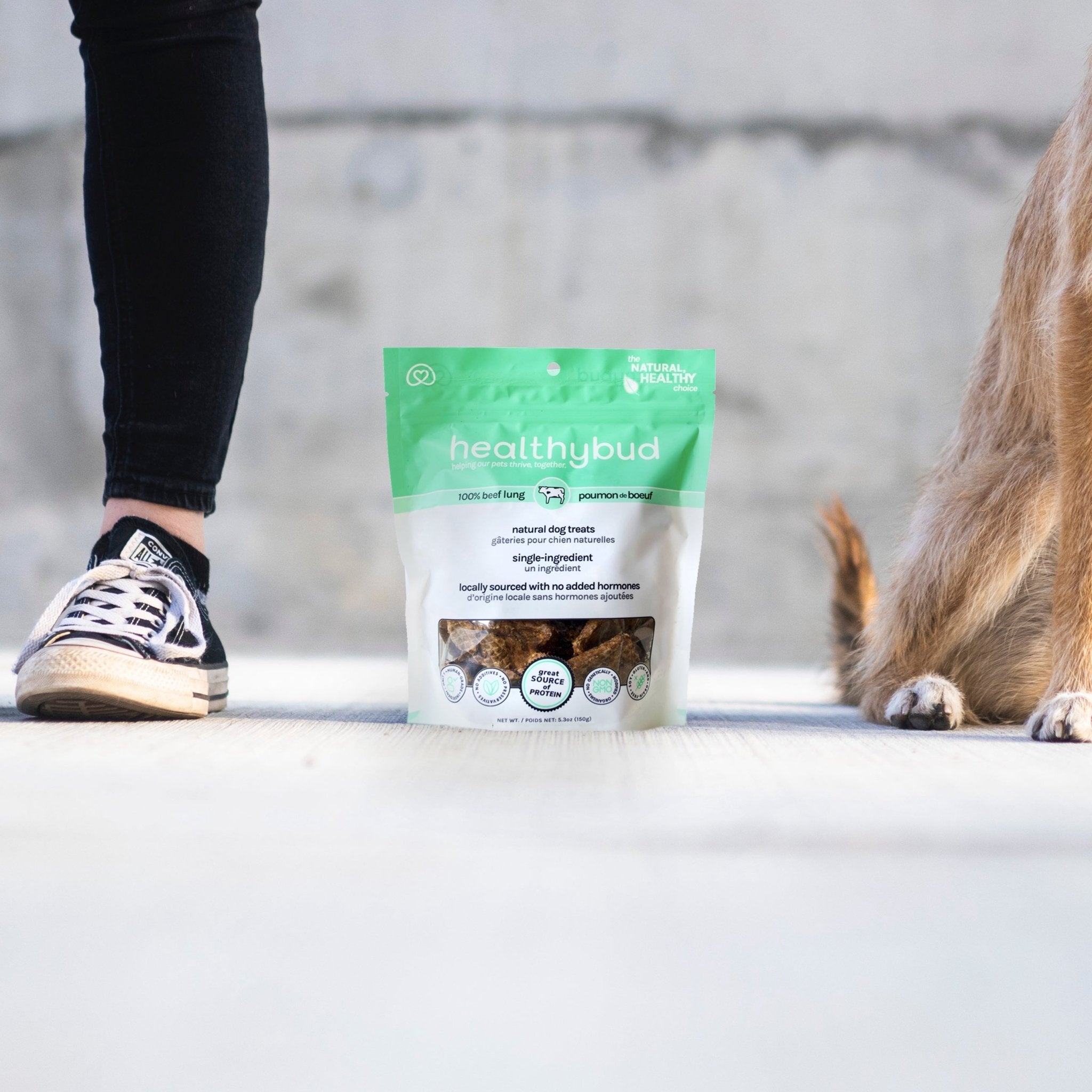 Person wearing sneakers with a dog next to a bag of healthybud pet treats on a concrete surface.