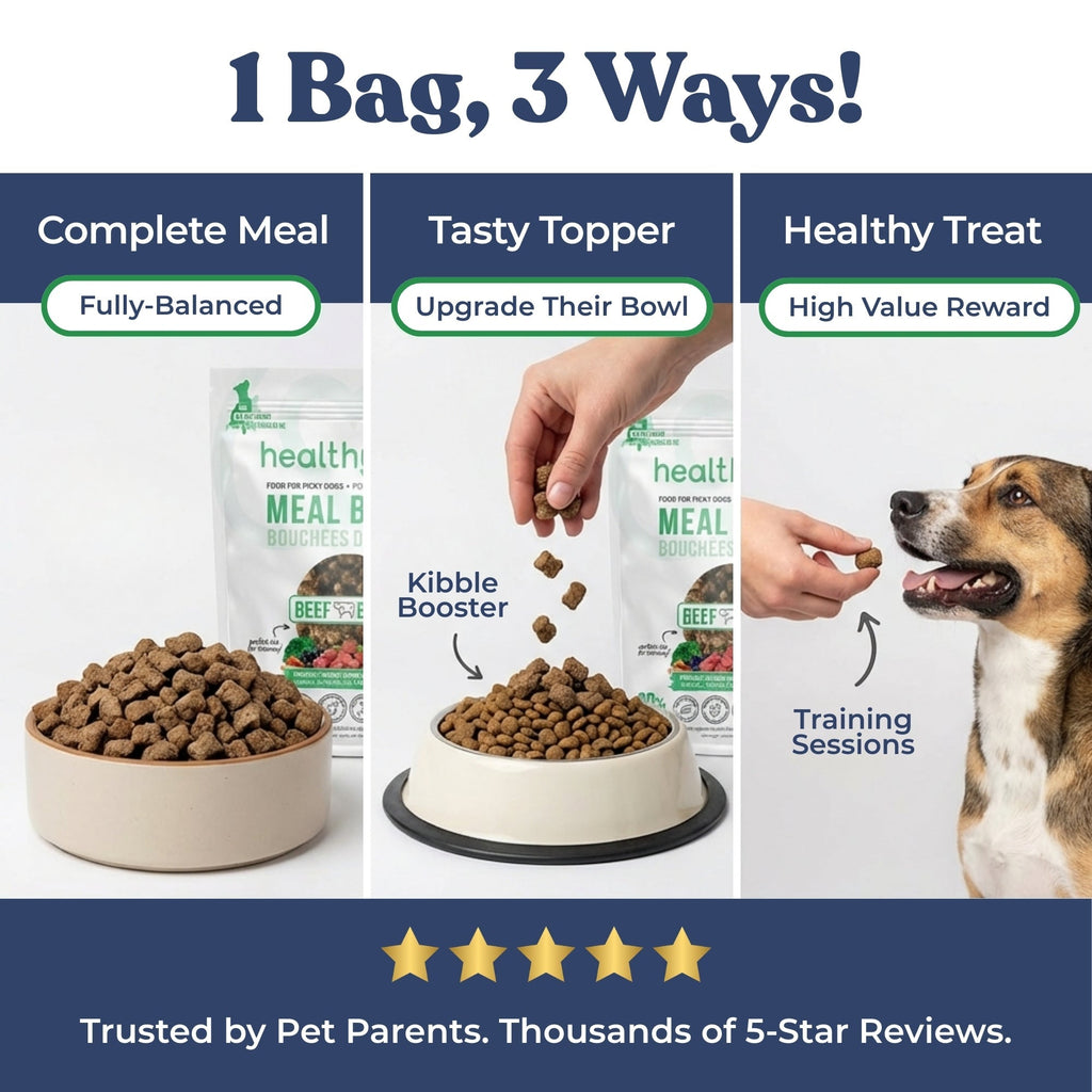 Dog food packaging with '1 Bag, 3 Ways!' text and images of a complete meal, tasty topper, and healthy treat.