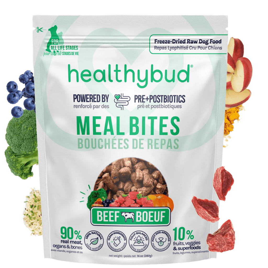 Package of healthybud Beef Meal Bites for dogs on a green background with food graphics.