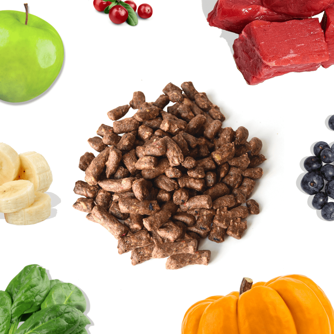 Dog food pellets with fruits and vegetables on a white background
