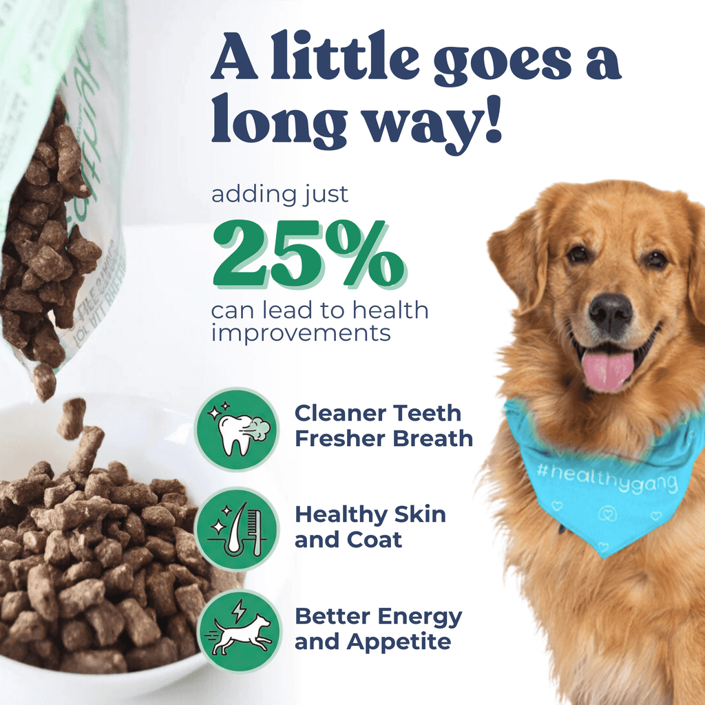 Dog with a blue bandana next to a bowl of dog food with text about health improvements.