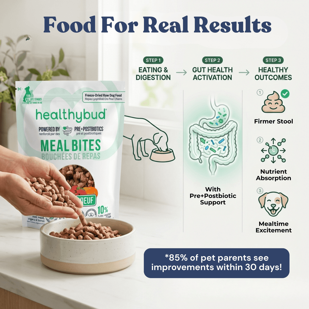 Healthybud MealBites packaging with a hand pouring food into a bowl, and a diagram of gut health benefits.