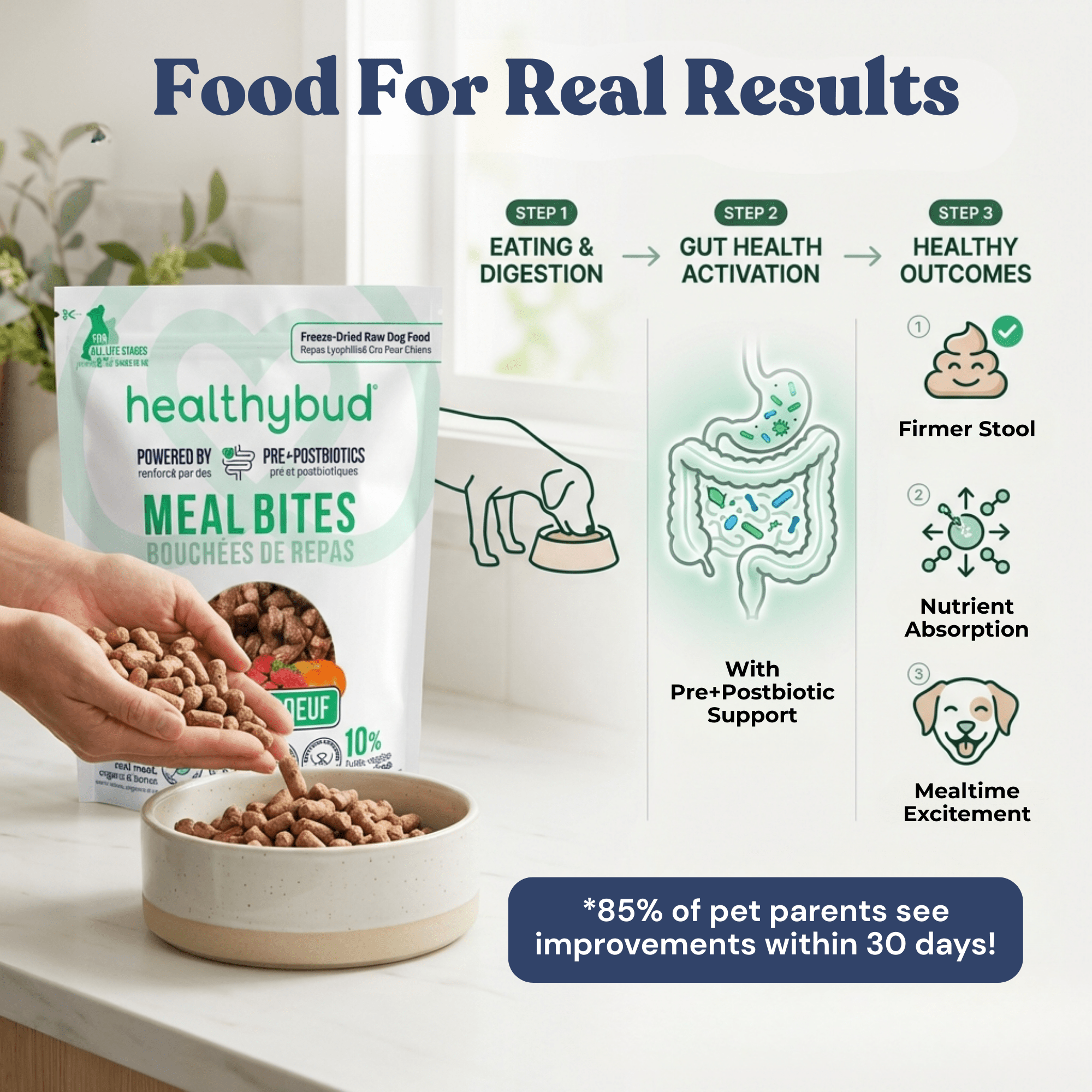 Healthybud MealBites packaging with a hand pouring food into a bowl, and a diagram of gut health benefits.