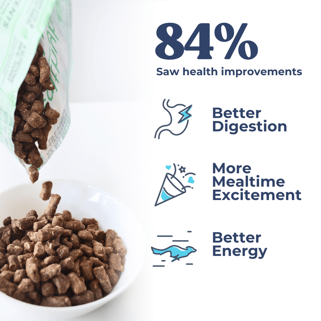 Dog food being poured into a bowl with health improvement statistics on a white background