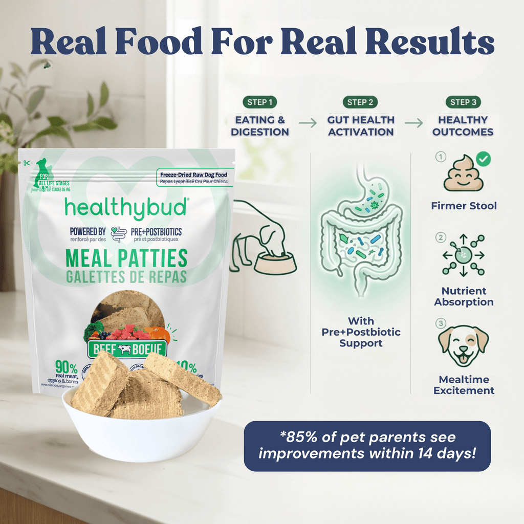 Healthybud meal patties packaging with product and benefits displayed.
