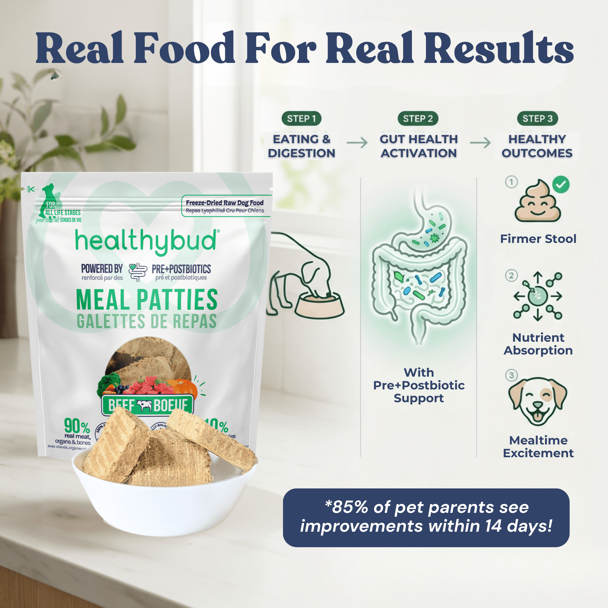 Healthybud meal patties packaging with product and benefits displayed.