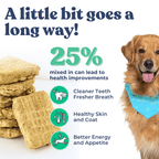 Dog treats with a dog and text about health benefits on a white background