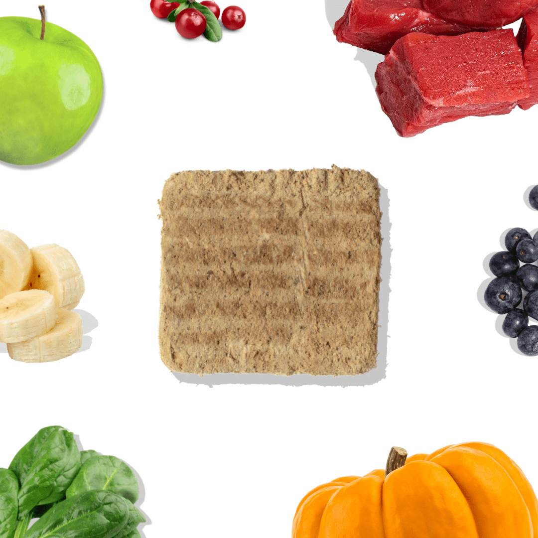 Collage of various food items including a green apple, red berries, sliced bananas, a dog food patty, blueberries, spinach, and a pumpkin on a white background.