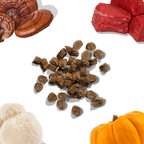 Collage of dried mushrooms, raw meat, dog food kibble, and a pumpkin on a white background