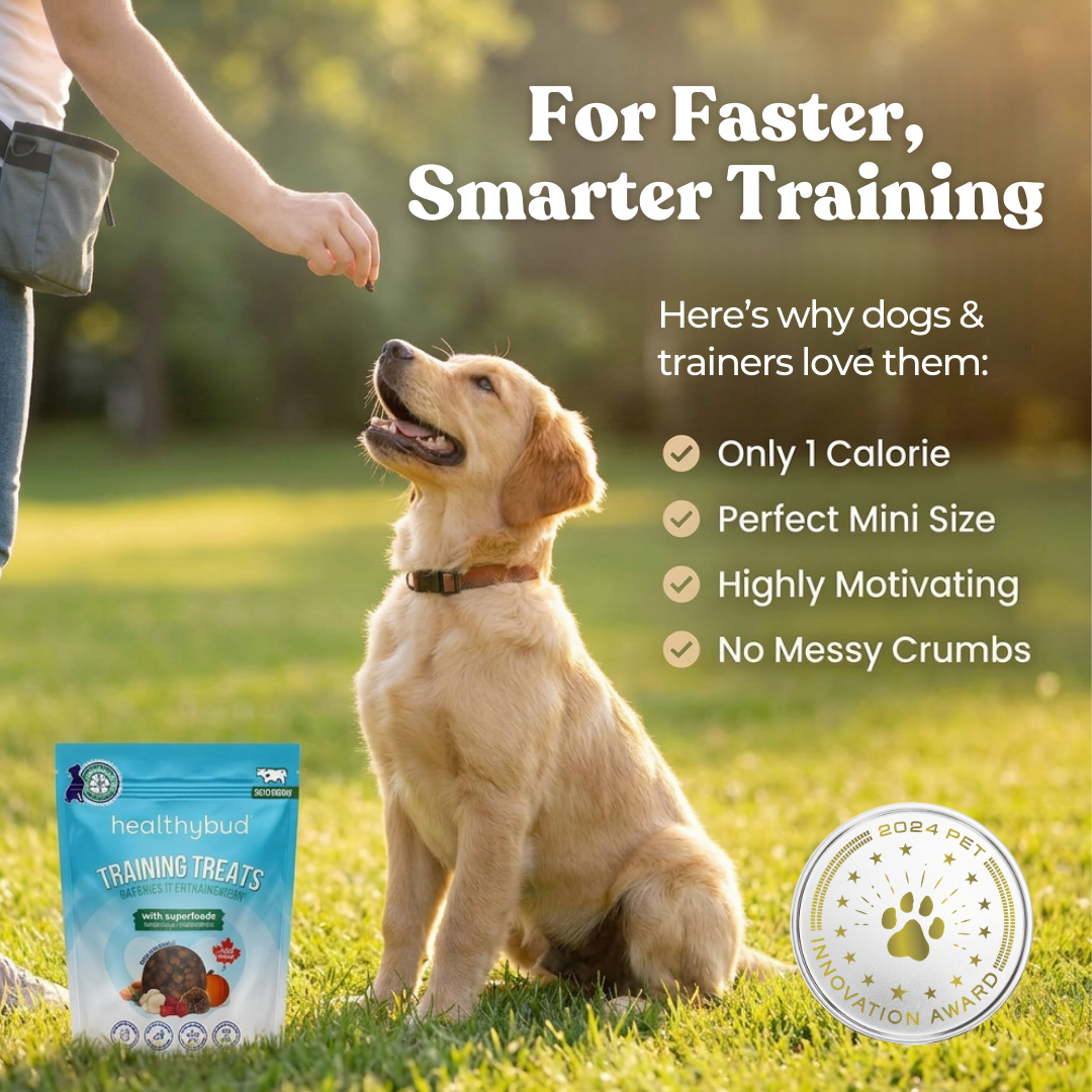Dog sitting on grass with a person's hand, promotional text about training treats, and a '2024 Pet Product Innovation Award' badge.