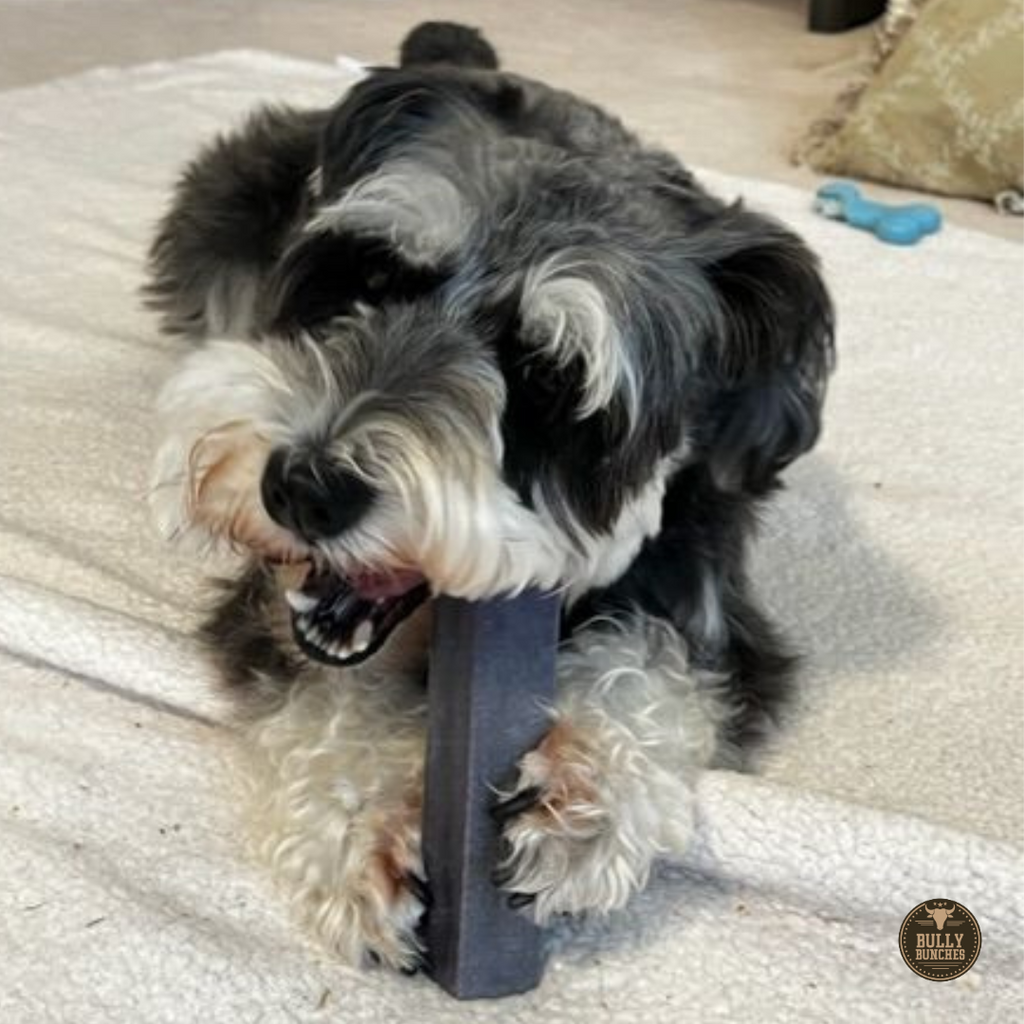 Dog playing with a yak chew on a carpeted floor