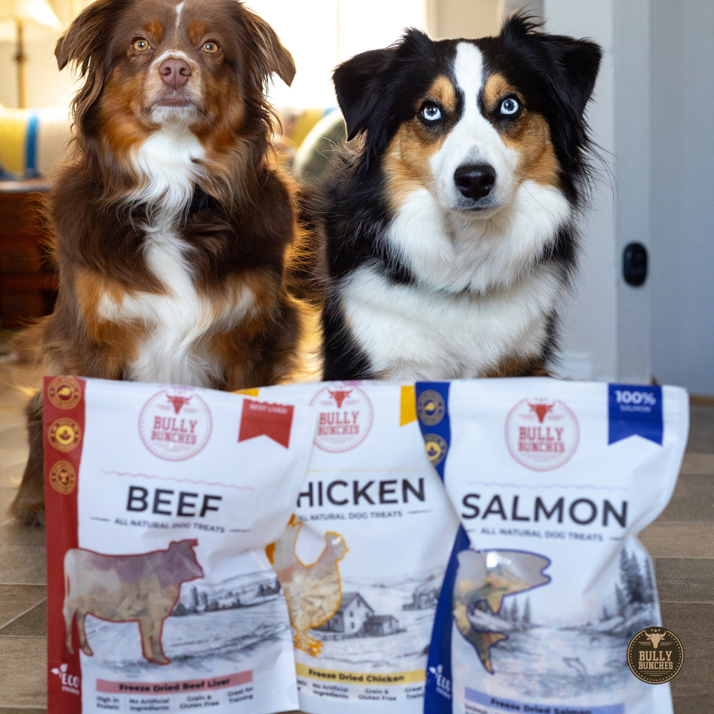 Two dogs sitting behind three bags of Bully Branded dog treats on a wooden floor in an indoor setting. The bags are labeled Beef, Chicken, and Salmon.