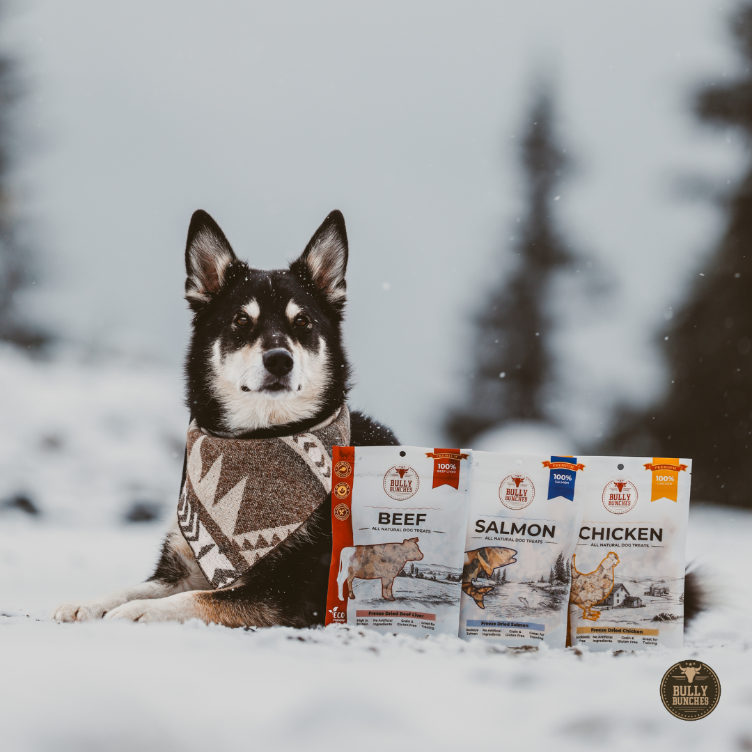 A black and white dog wearing a patterned bandana sits in the snow next to three bags of Bully Brand dog food: Beef, Salmon, and Chicken flavors.