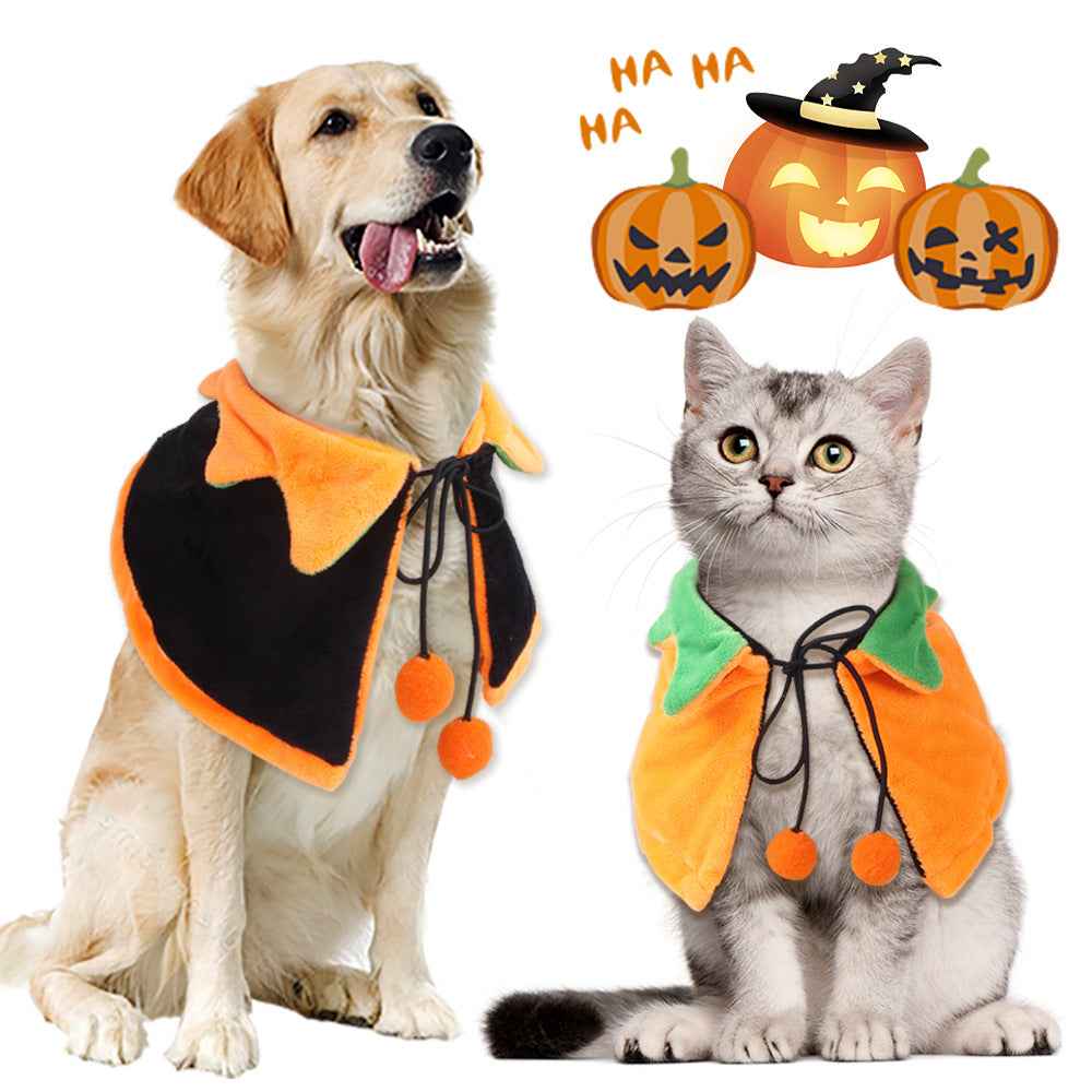 Dog and cat wearing Halloween costumes with pumpkins in the background