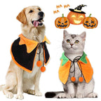 Dog and cat wearing Halloween costumes with pumpkins in the background