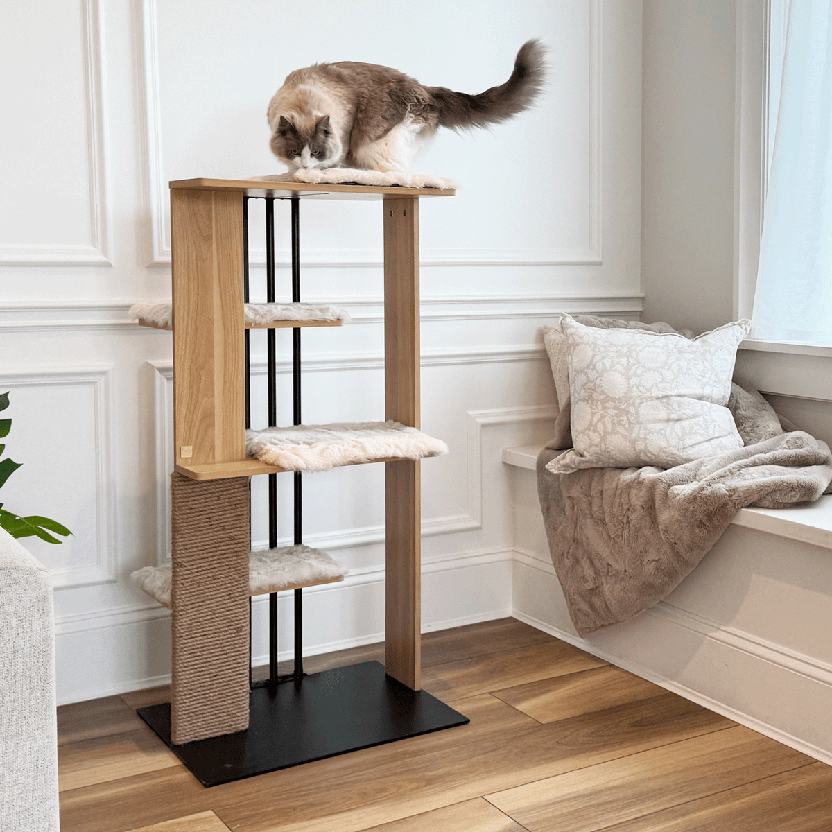 Cat on a wooden cat tree in a home setting with a bench and cushions.