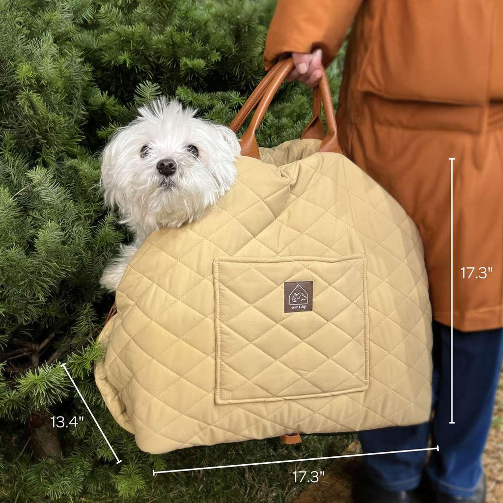 Dog in a beige quilted pet carrier held by a person outdoors.