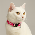 White cat wearing a pink floral collar with a bell on a neutral background