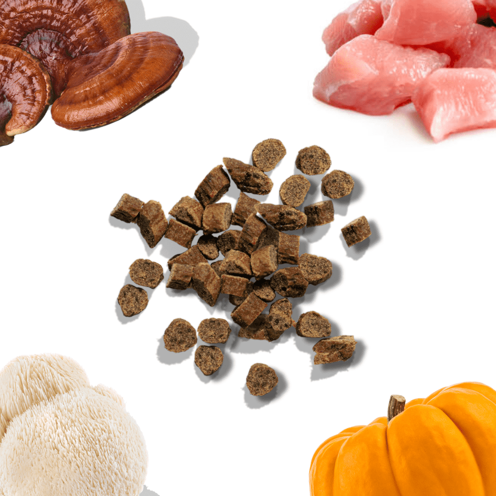 Assorted ingredients including dried mushrooms, raw meat, dog food kibble, a pumpkin, and a white root vegetable on a white background.