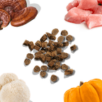 Assorted ingredients including dried mushrooms, raw meat, dog food kibble, a pumpkin, and a white root vegetable on a white background.