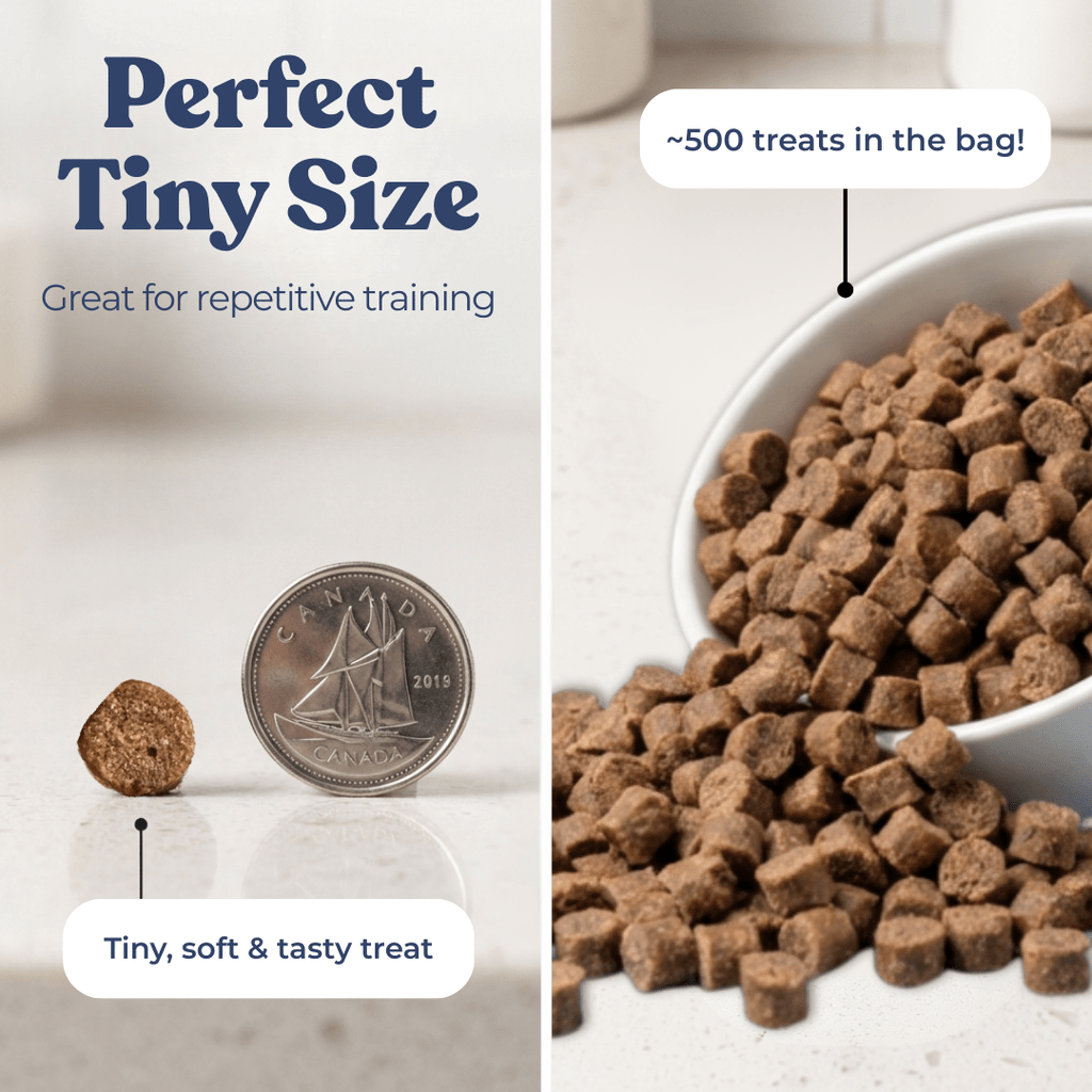 Dog treats shown next to a coin and in a bowl with text about size and quantity.