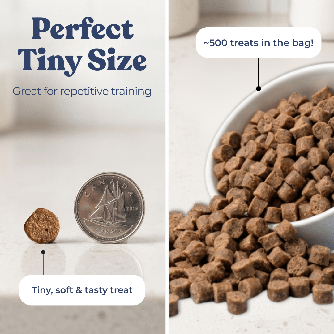 Dog treats shown next to a coin and in a bowl with text about size and quantity.