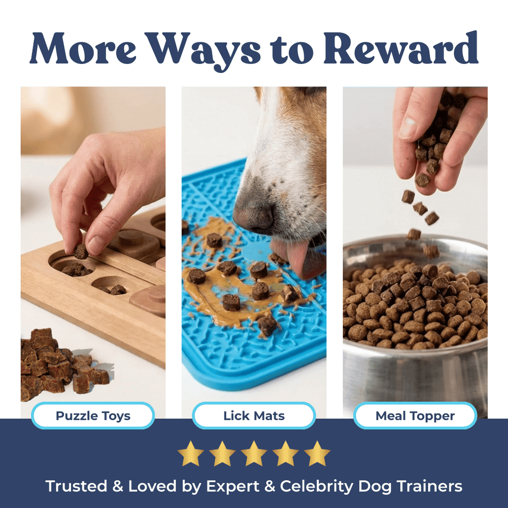 Promotional graphic for dog rewards with images of puzzle toys, lick mats, and meal toppers.