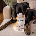 Dog holding a package of bully chicken treats on a couch