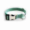 Turquoise dog collar with a metal buckle on a white background