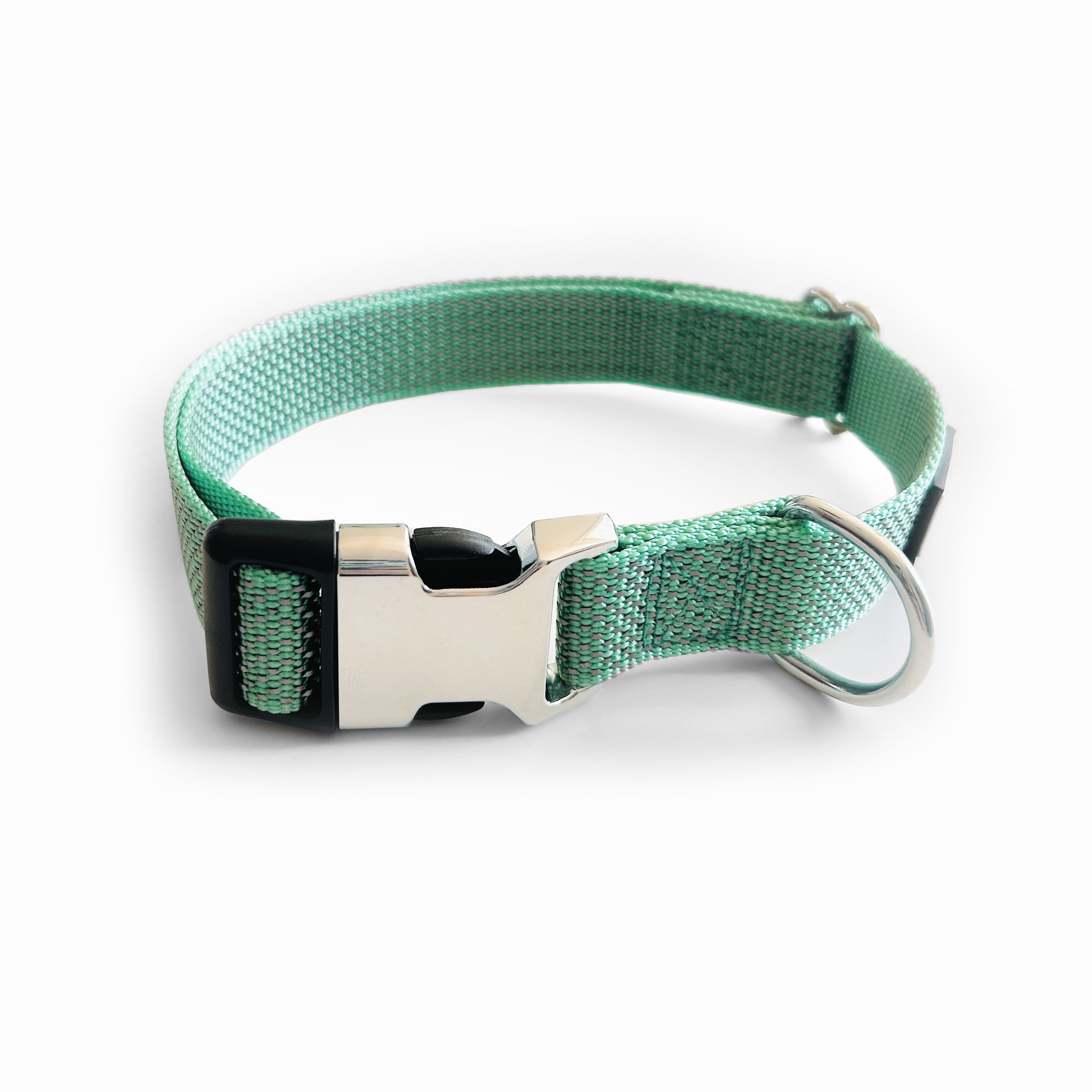Turquoise dog collar with a metal buckle on a white background