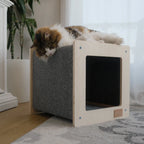 cat laying on a square cat house